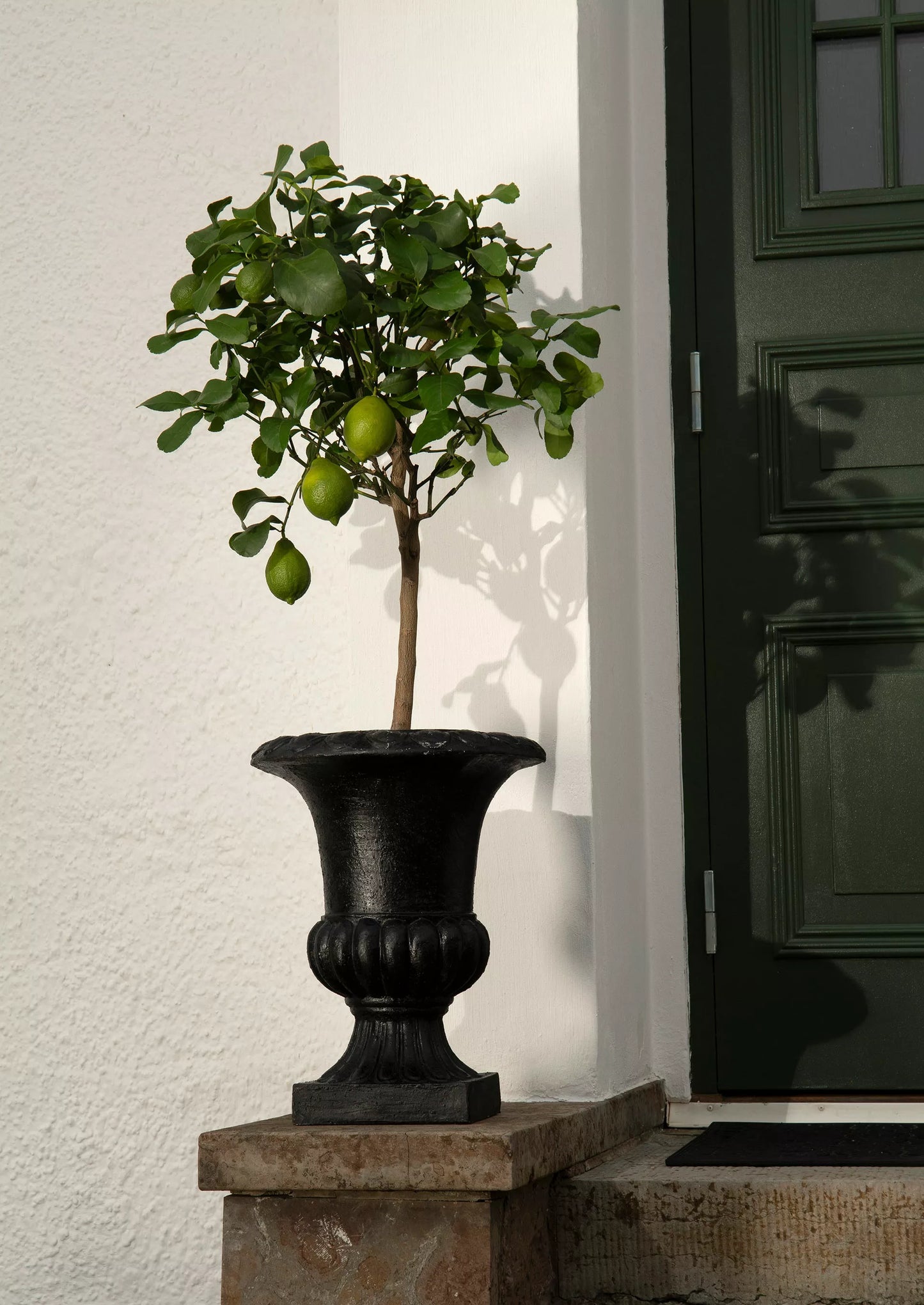 Elegant blomsterkrukke i sort – klassisk design med tidløs sjarm - finnes i 3 str