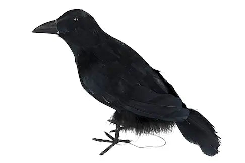 Dekorativ Ravn