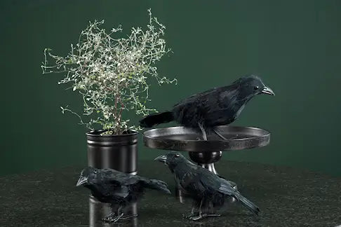 Dekorativ Ravn